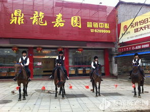 歡樂(lè)五一，來(lái)鼎龍嘉園免費(fèi)騎馬玩！｜鼎龍木業(yè)邀您共度佳節(jié)